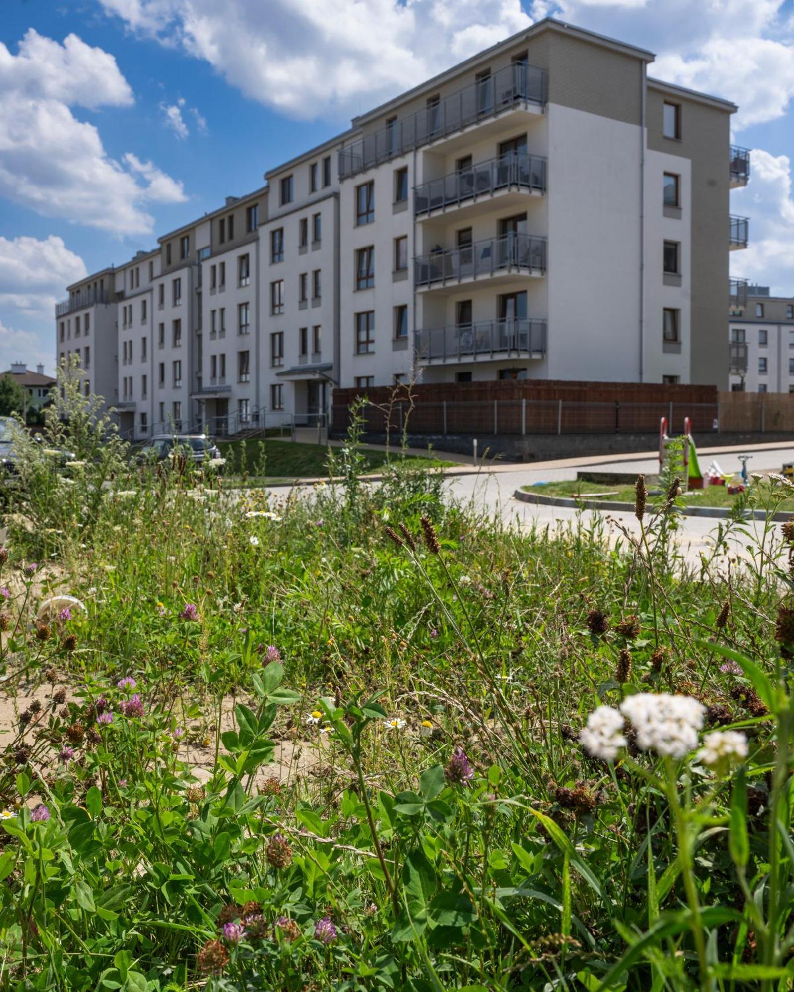 Apartament Wanessa Gdansk Dış mekan fotoğraf